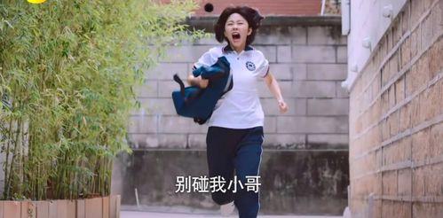 國產高中生,國產高中生風采錄